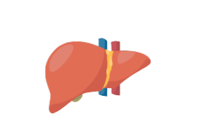 Liver test