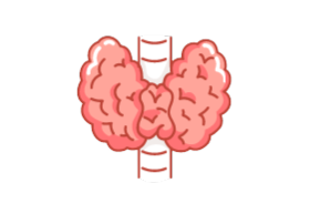 Thyroid test